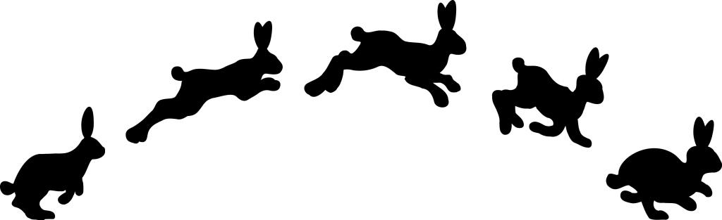 Image noir et blanc contrastée qui présente le mouvement décomposé du saut du lapin