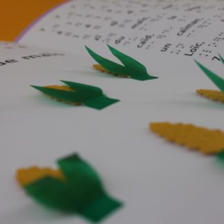 épis de maïs en illustration tactile avec du texte en grand caractère et en braille au fond flou.
