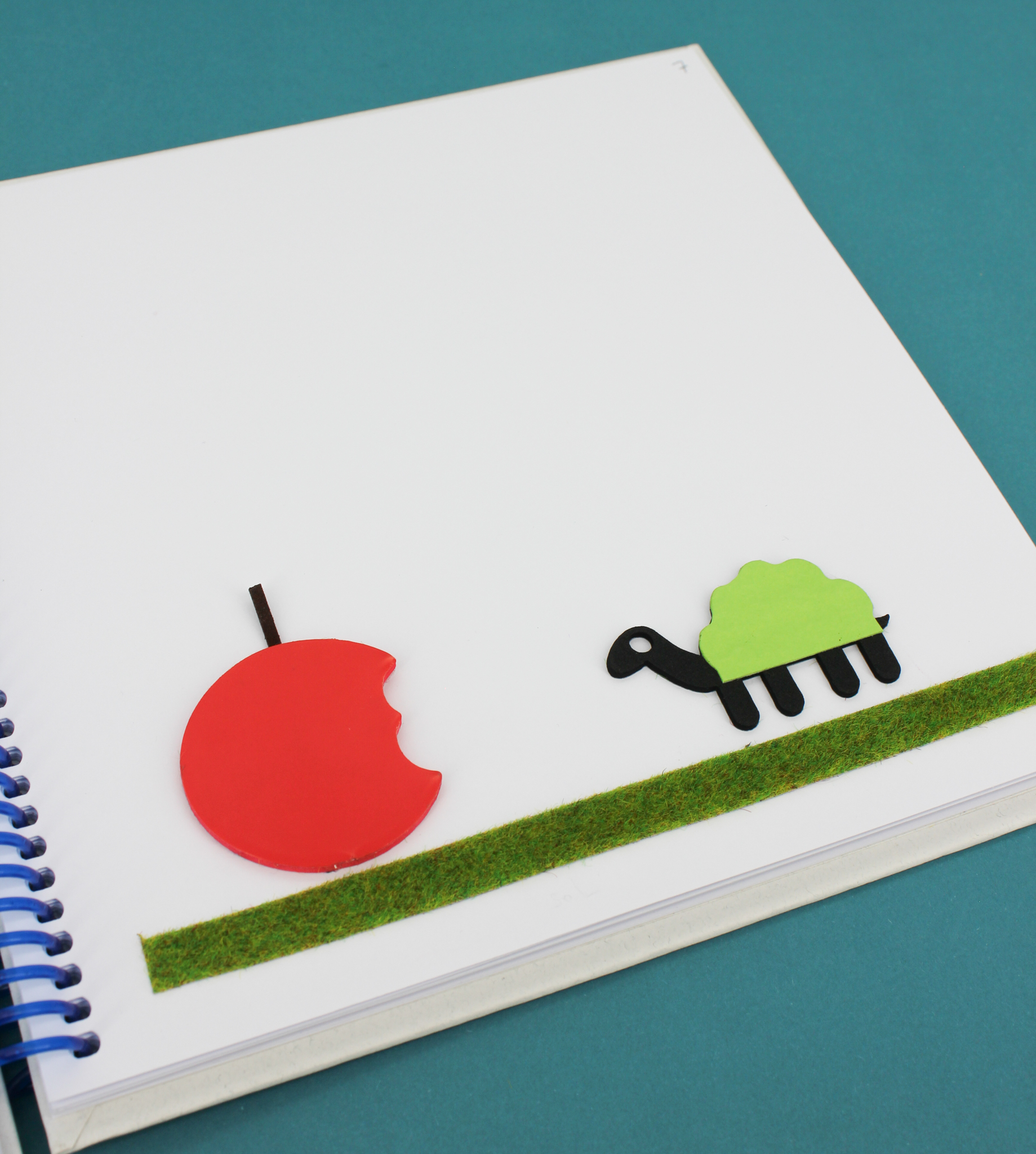 Image tactile d'une tortue en face d'une pomme croqué rouge