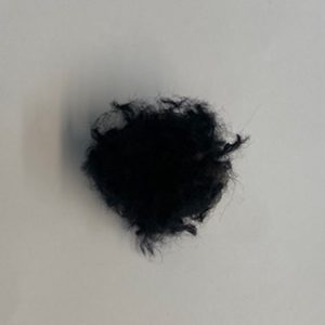 coquille complètement recouverte de laine