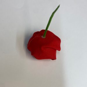 coquille d'escargot recouverte de tissu rouge avec une tige verte