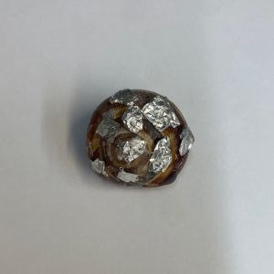 coquille d'escargot recouverte de morceaux d'aluminium comme des écailles