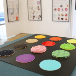 12 ronds sont posés sur une structure avec 12 différentes matières et on aperçoit au fond des panneaux explicatifs.