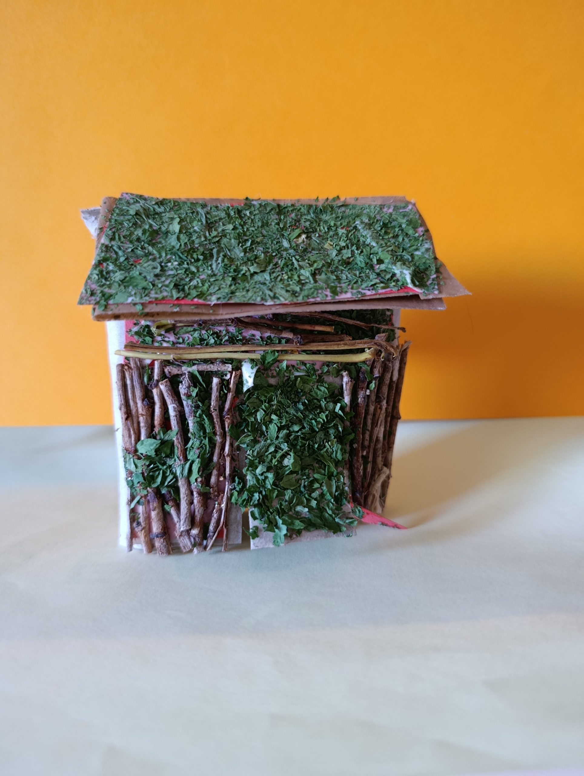 Photo d'une maquette de hutte réalisée avec du carton, des brindilles, du persil